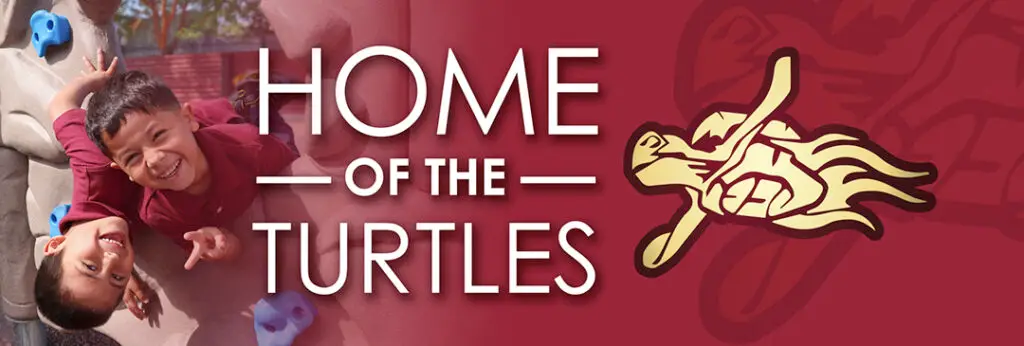 AMS Flower - Home of the Turtles